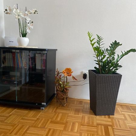 Apartment Miana Trogir Eksteriør bilde